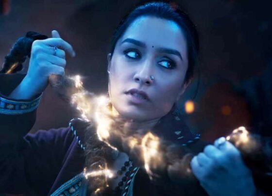 "Stree 2 Box Office Collection Day 25