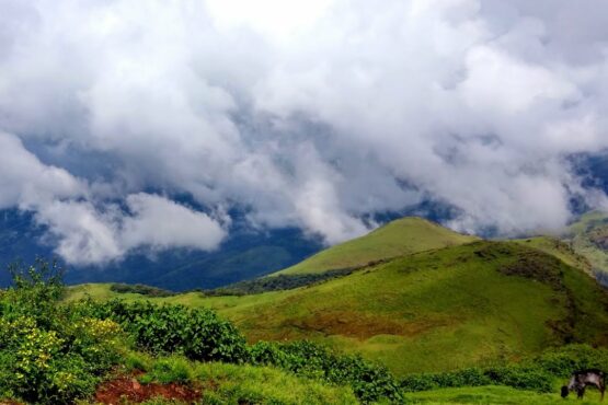 After the devastating Wayanad landslides, Kerala has revised its proposal for Ecologically Sensitive Areas (ESAs) in the Western Ghats. The revised plan calls for the protection of 8,590 sq km of vulnerable land to prevent future environmental disasters. Kerala’s Revised ESA Proposal: A Critical Step for Western Ghats Protection In a revised proposal submitted to the Union Ministry of Environment, Forest, and Climate Change (MoEFCC), the Kerala government has requested the protection of 8,590.69 sq km in the Western Ghats. The proposal covers 98 villages across 12 districts, a reduction of 121 sq km from the original plan submitted earlier this year. The revised plan comes in the wake of the deadly landslides that struck Wayanad district in July 2024, which resulted in over 400 deaths and extensive damage to homes and infrastructure. The proposal aims to prevent further environmental catastrophes by designating vulnerable areas as Ecologically Sensitive Areas (ESAs). Key Aspects of the Revised ESA Proposal Focus on Vulnerable Areas: The revised ESA plan covers 8,590.69 sq km of land, emphasizing high-risk zones that require urgent protection. 98 Villages in 12 Districts: The proposal includes 98 villages in landslide-prone areas like Wayanad, Idukki, and Palakkad. Areas Hit by Recent Landslides: Special attention is given to areas like Chooralmala, Mundakkai, and Vellarimala, which were devastated by the recent landslides. Why the Western Ghats Matter The Western Ghats are a biodiversity hotspot, home to several endemic species of flora and fauna. The region also plays a crucial role in regulating the climate and providing water resources to southern India. Protecting these areas is essential for preserving the delicate ecological balance of the region. The Aftermath of Wayanad Landslides The catastrophic landslides in Wayanad, caused by continuous rains, devastated the region and exposed the urgent need for better environmental protection measures. The loss of life and property prompted Kerala to revise its ESA proposal, focusing on the areas that are most vulnerable to such disasters. Concerns and Challenges Over ESA Implementation While the ESA proposal has received support from environmentalists, there are concerns from local communities regarding the restrictions on land use. Farmers and developers fear the impact on their livelihoods. The Kerala government is in talks with stakeholders to find solutions that balance conservation with economic growth. The Role of the Union Government The revised ESA proposal is now under review by the Union Ministry of Environment, Forest, and Climate Change. The ministry’s approval is crucial for the implementation of the proposed environmental protection measures. Conclusion: Ensuring the Future of the Western Ghats Kerala’s revised ESA proposal marks a significant step toward safeguarding the Western Ghats from further environmental degradation. By protecting 8,590.69 sq km of ecologically sensitive areas, the state is taking action to mitigate risks, particularly in the wake of the tragic landslides in Wayanad. The challenge ahead is to strike a balance between conservation and the needs of local communities, ensuring sustainable development for future generations.