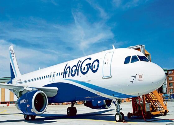 Allegation of Theft During Flight