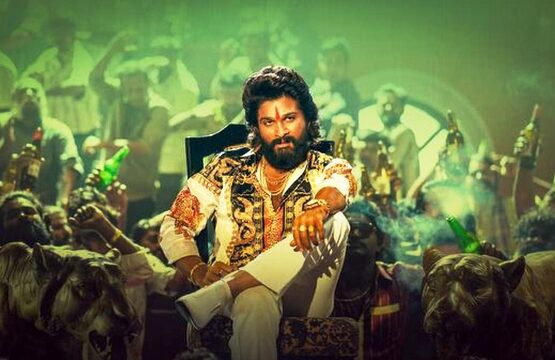 Pushpa 2 Box Office Collection