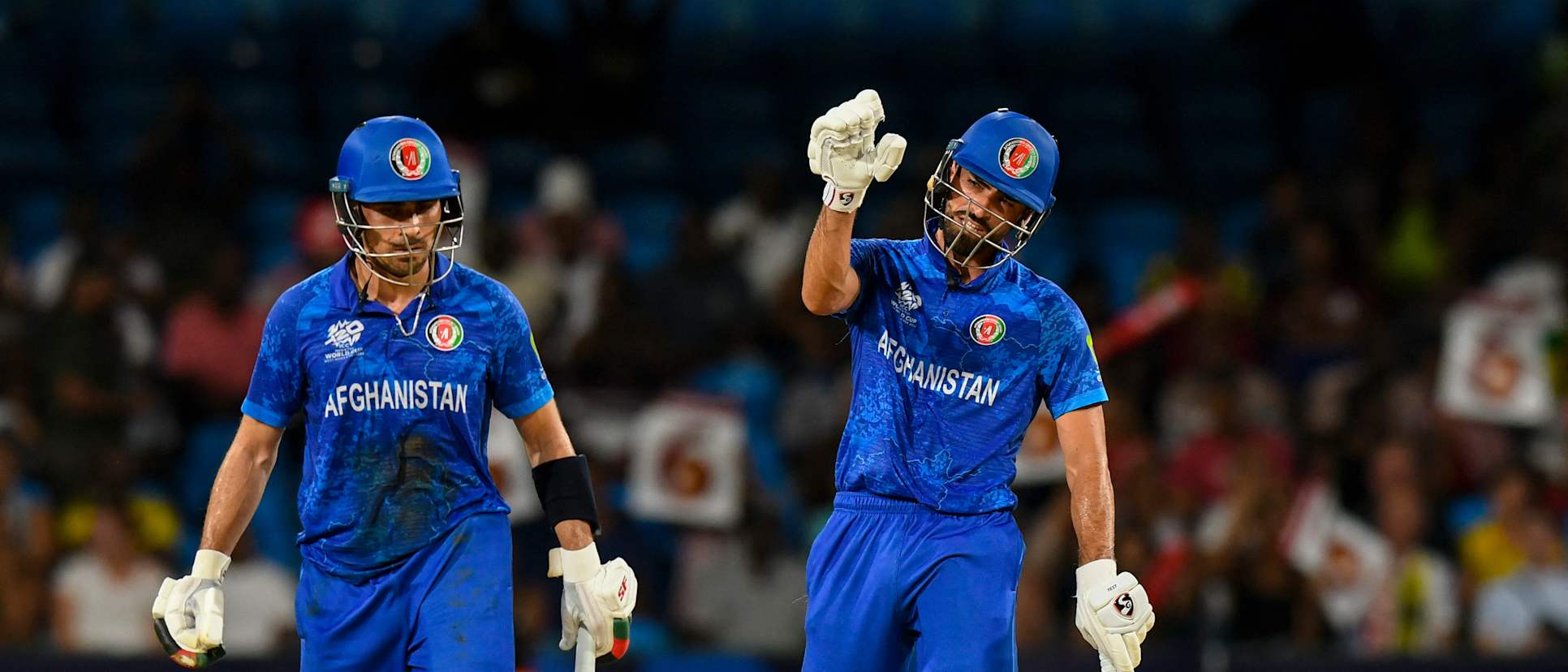 ICC World Cricket